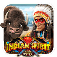 Indian Spirit